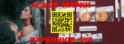 соль ск Кингисепп