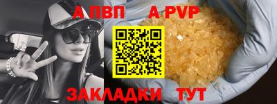 соль ск Кингисепп