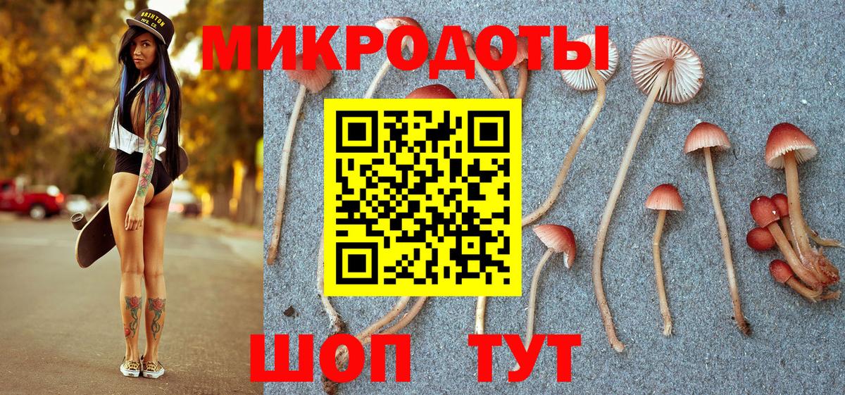 Галлюциногенные грибы прущие грибы Котовск