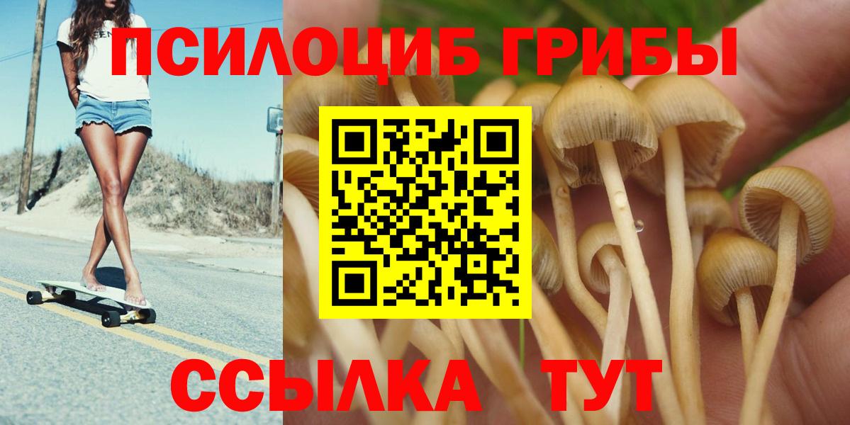Псилоцибиновые грибы мухоморы  Псилоцибиновые грибы Magic Shrooms  Вход с VPN  Котовск 