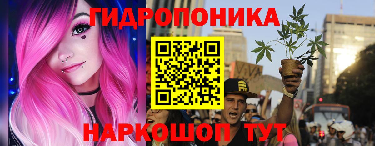 Бошки Шишки ГИДРОПОН  Вход с VPN  Котовск  МАРИХУАНА VHQ 
